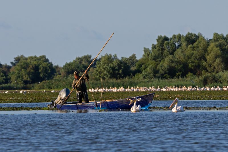 Franz Robil­ler / Donaudelta