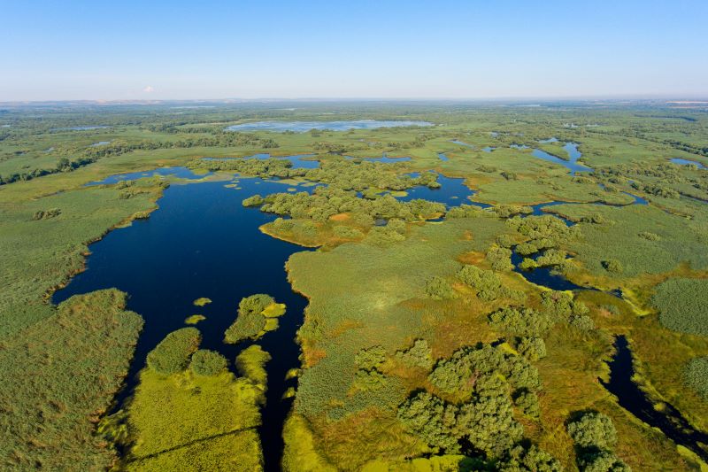 Franz Robil­ler / Donaudelta