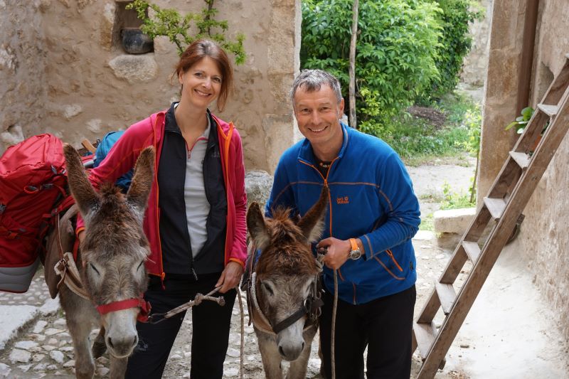 Zur Online-Version